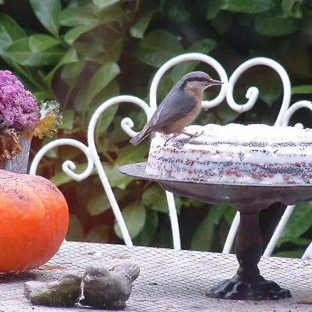 Domaine De La Carrauterie By Terre Insolite Maison d'hôtes